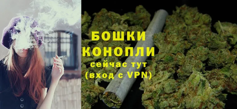 Конопля Ganja  Карасук 